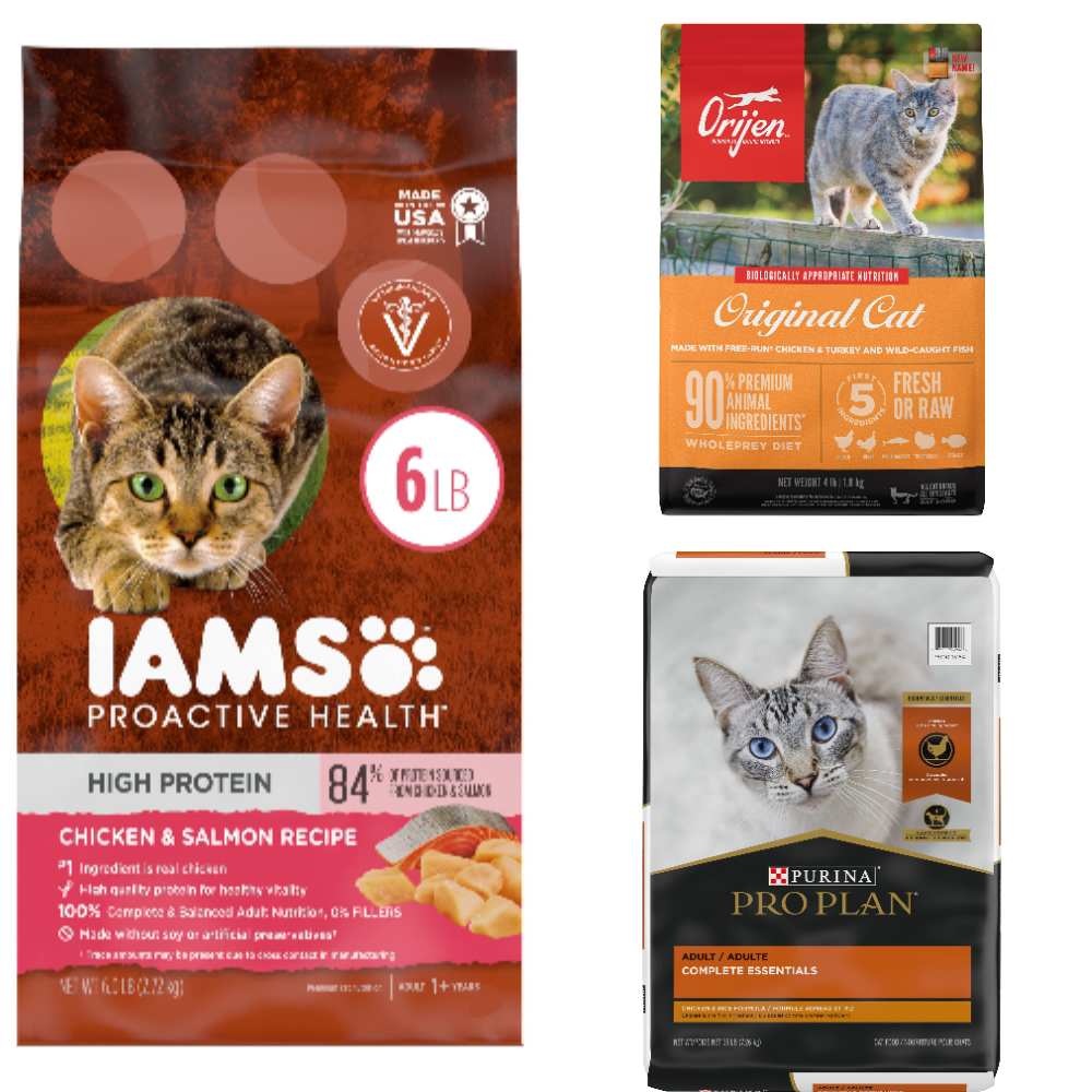 Best High Protein Cat Food The Top Picks To Keep Your Kitty Healthy