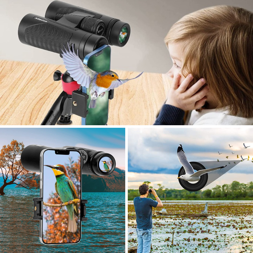 The Best BirdWatching Binocular For Discover A World Of Birds