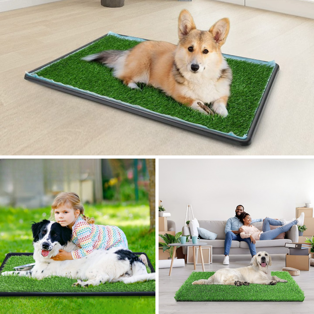 Best Artificial Grass For Dog Potty