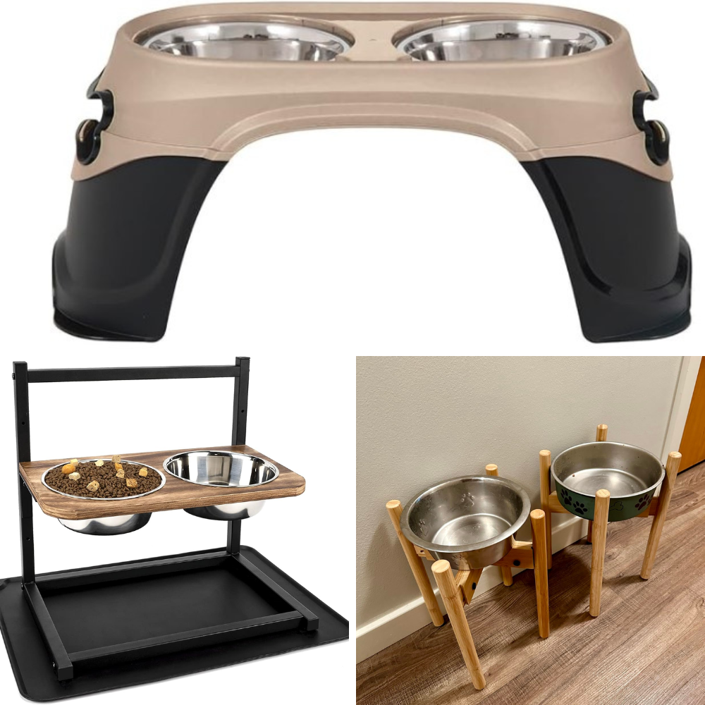 Elevated Dog Bowl