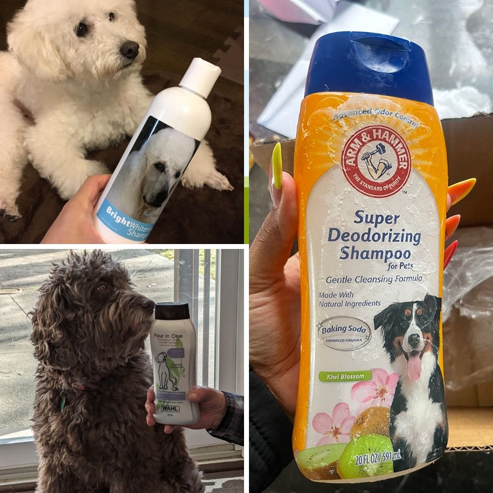 best labradoodle shampoo