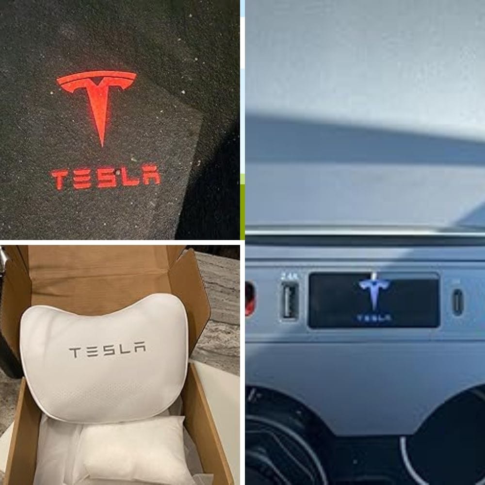 gift for tesla owner