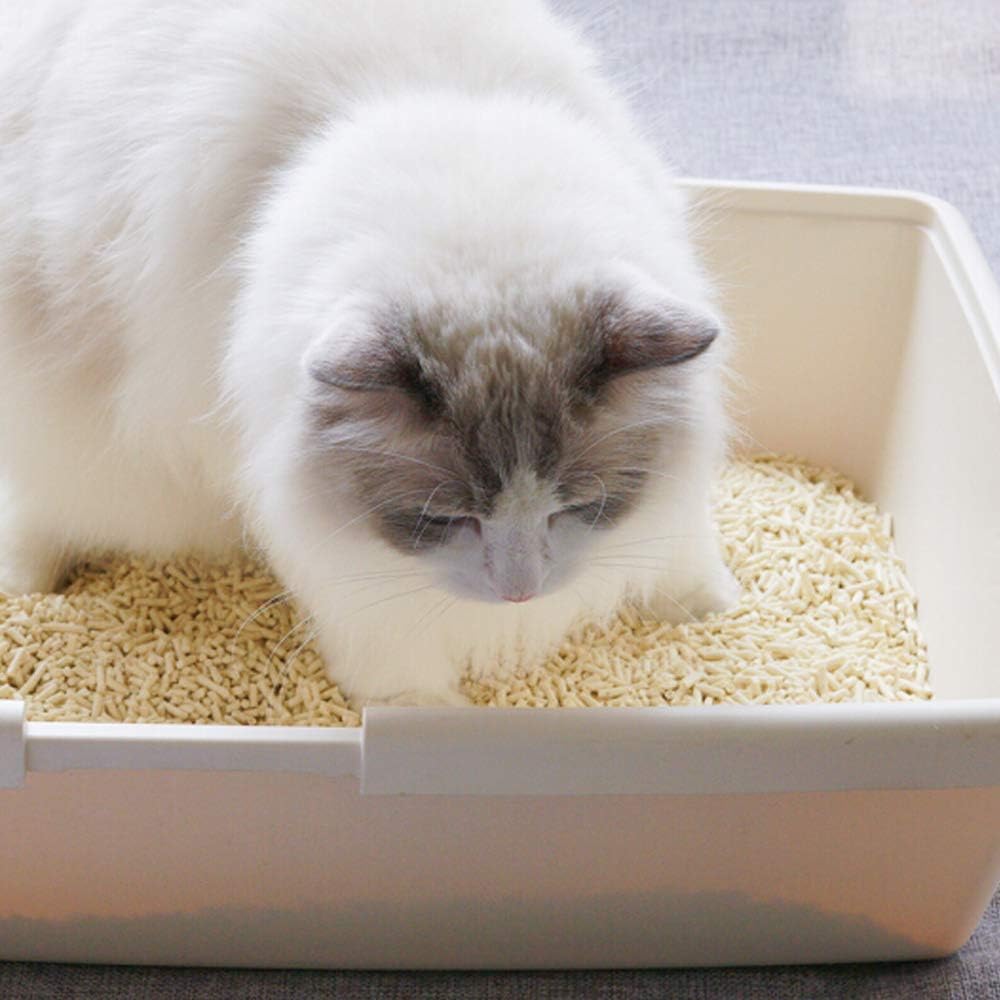 Tofu Cat Litter