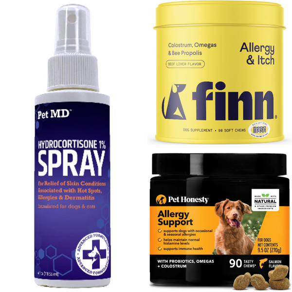 Beat Allergies With These Best Allergy Medicine For Dogs