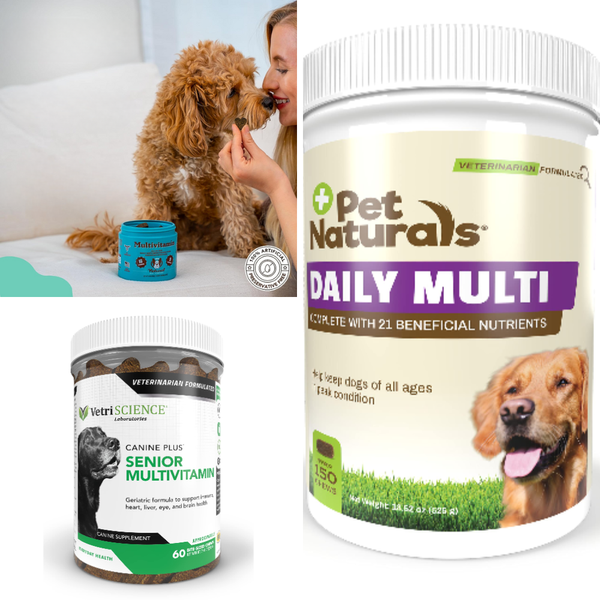 Best Vitamins For Dogs A MustHave For Your Furry Friend